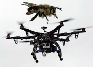 Bee Vs. Drones